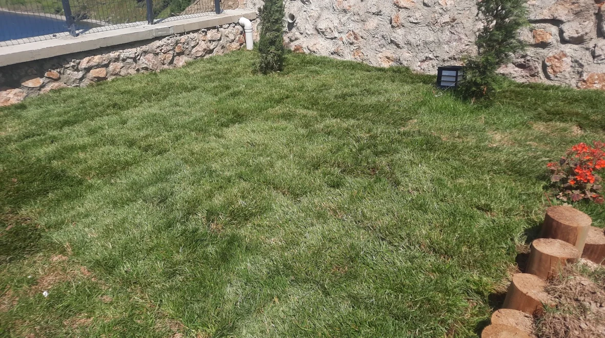 Çim serimi tamamlanmış bahçe, taş duvar önünde ahşap palisat bordür