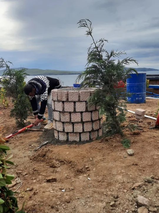 Taş Kuyu ve Bitkilendirme