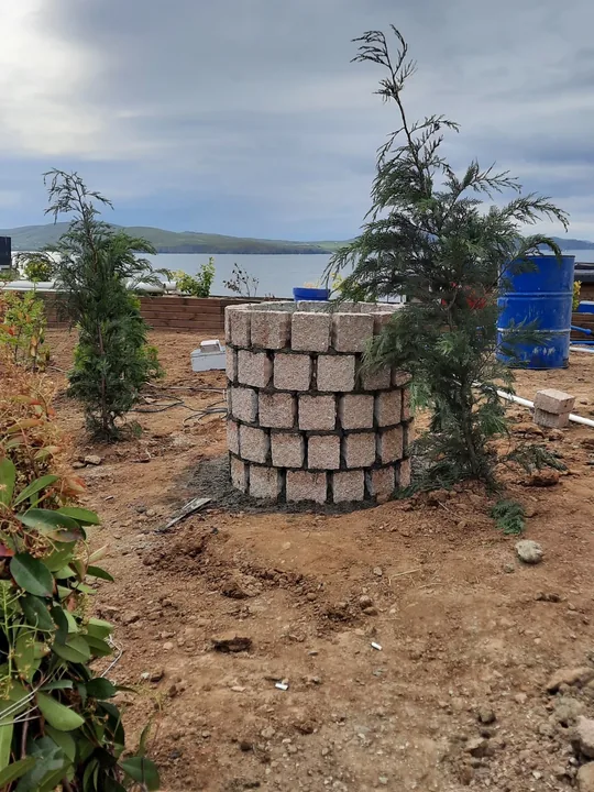 Taş Kuyu ve Servi Dikimi